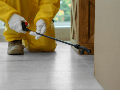About Expert Local Pest Control Pros - Expert pest control services experts in Wimberley