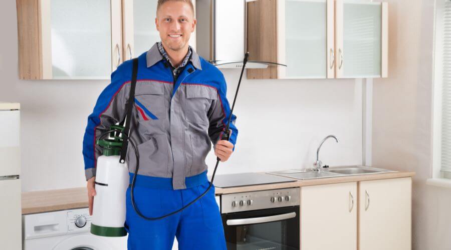 Professional Expert pest control services services in Wimberley